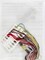 DIY Design Works Twelve Days Christmas Holiday Plastic Canvas Ornament Kit 6881